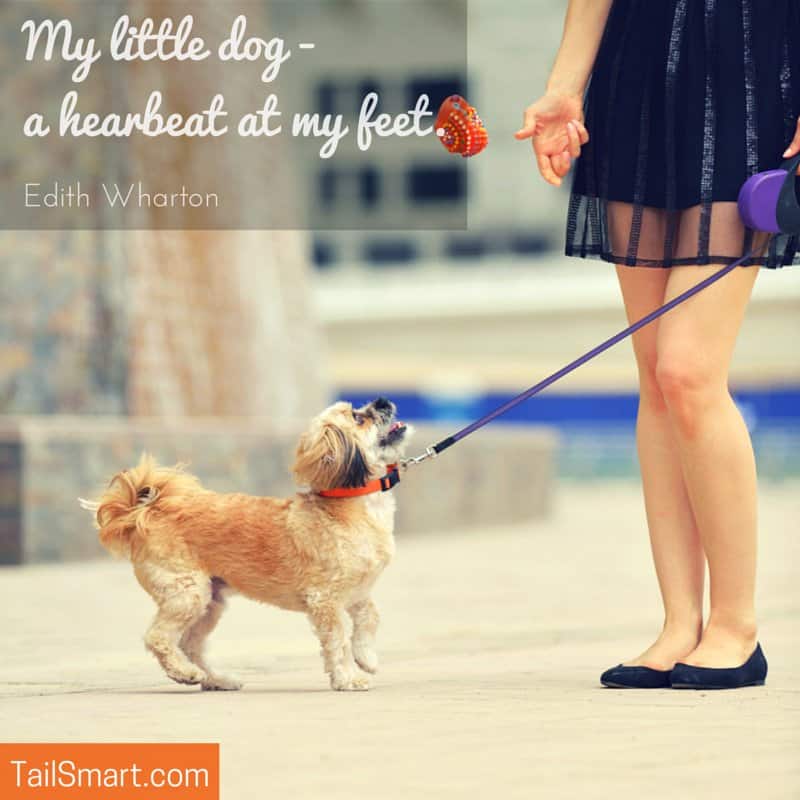 My little dog a heartbeat at my feet quote by Edith Wharton