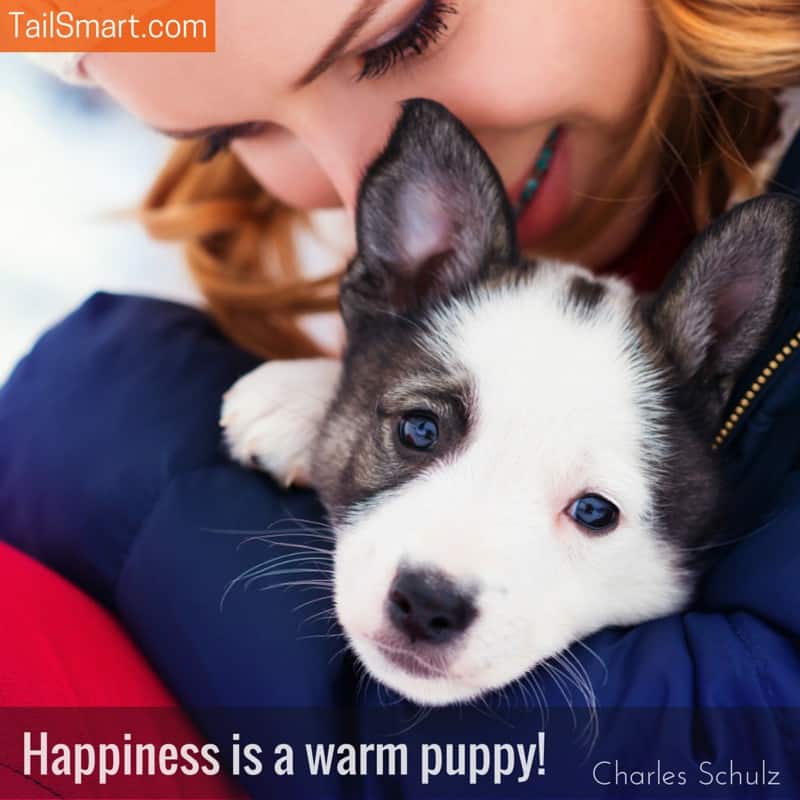 Happiness is a warm puppy Charles Shulz quote