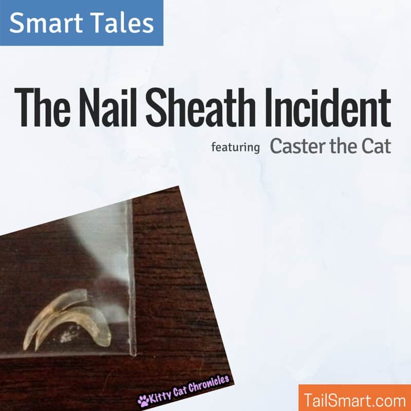 The Nail Sheath Incident - Smart Tales