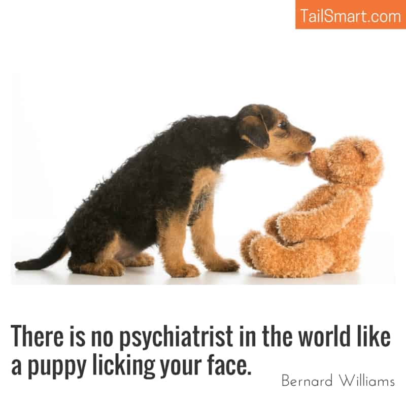 There is no psychiatrist in the world like a puppy licking your face.