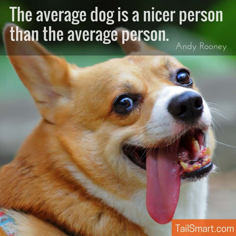 The average dog is a nicer person than the average person.